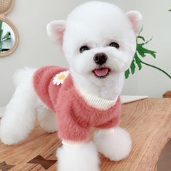 Daisy Flower Pet Sweater - Cozy and Stylish