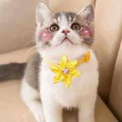 Pet Collar Accessories for Birthday Parties and Grooming