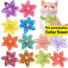 Pet Collar Accessories for Birthday Parties and Grooming