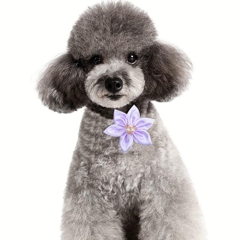 Pet Collar Accessories for Birthday Parties and Grooming