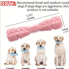 Indestructible Dog Toys for Small Dogs: Teeth Cleaning & Chew Training