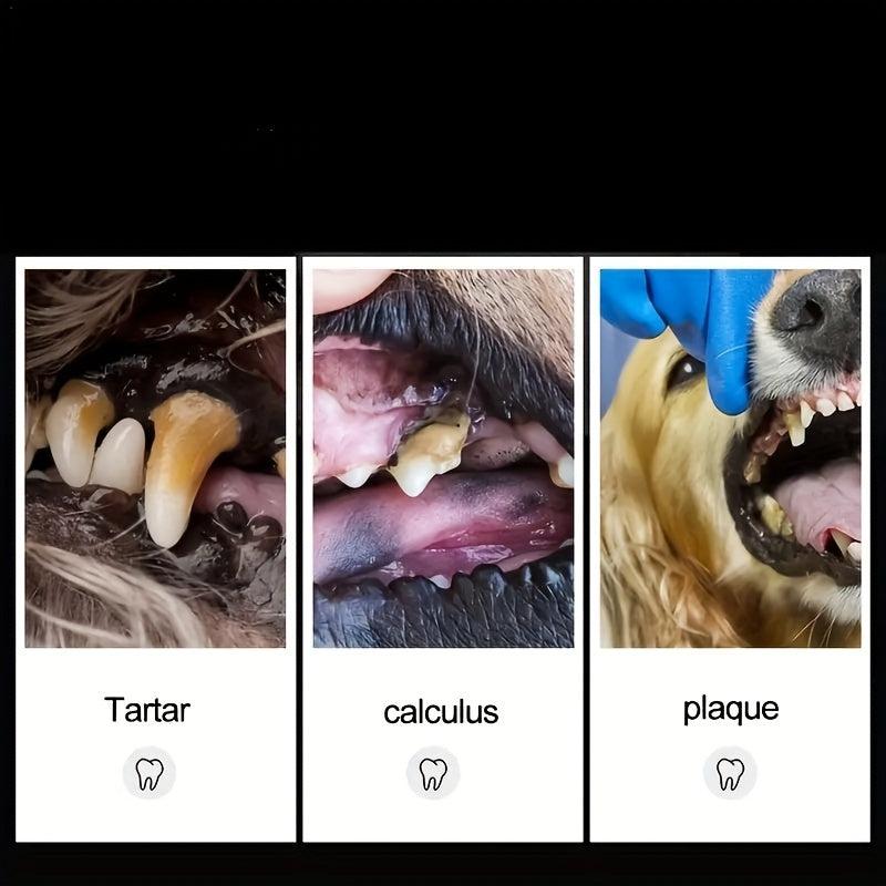 Dual Head Pet Teeth Cleaning Tool Dogs Cats Dental Oral Care Stainless Steel