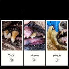 Dual Head Pet Teeth Cleaning Tool Dogs Cats Dental Oral Care Stainless Steel