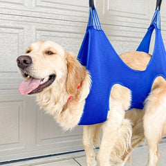 Pet Grooming Hammock for Dogs and Cats