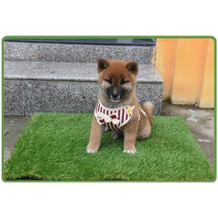 Artificial Grass Dog Toilet Pads - Dog Potty Training Mat