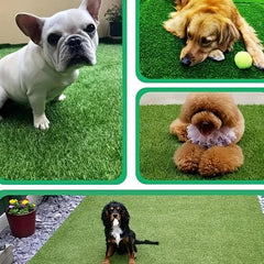 Artificial Grass Dog Toilet Pads - Dog Potty Training Mat