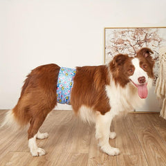 Waterproof Reusable Male Dog Diapers Belly Bands - Comfortable Fit
