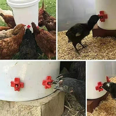 Automatic Poultry Feeder Chicken Water Fountain & Feeding Nozzle