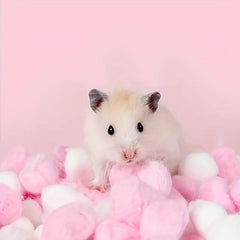 100pcs Random Pet Hamster Warm Balls - Cozy Winter Nest
