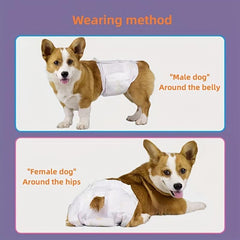 12pcs Disposable Pet Dog Diapers Highly Absorbent Leak Proof Sanitary Pants