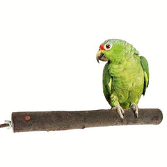 Bird Parrot Stand Toy For Fun Wooden Hanging Stand For Pet Bird Cage
