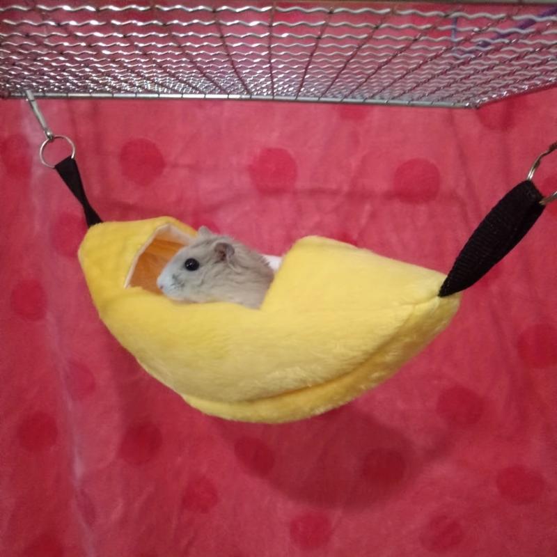 Hamster Plush Banana Hammock Hanging Bed