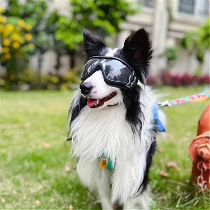 Windproof Dog Goggles for Outdoor Adventures