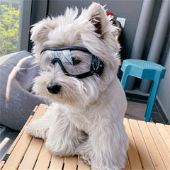 Windproof Dog Goggles for Outdoor Adventures