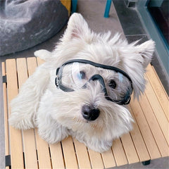 Windproof Dog Goggles for Outdoor Adventures