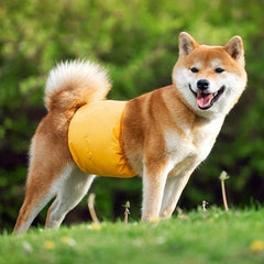 Male Dog Physiological Sanitary Pants for Small and Medium Breeds