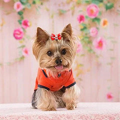 10pcs Christmas Dog Bow Ties Dog Hair Accessories Pet Dog Hair Bows