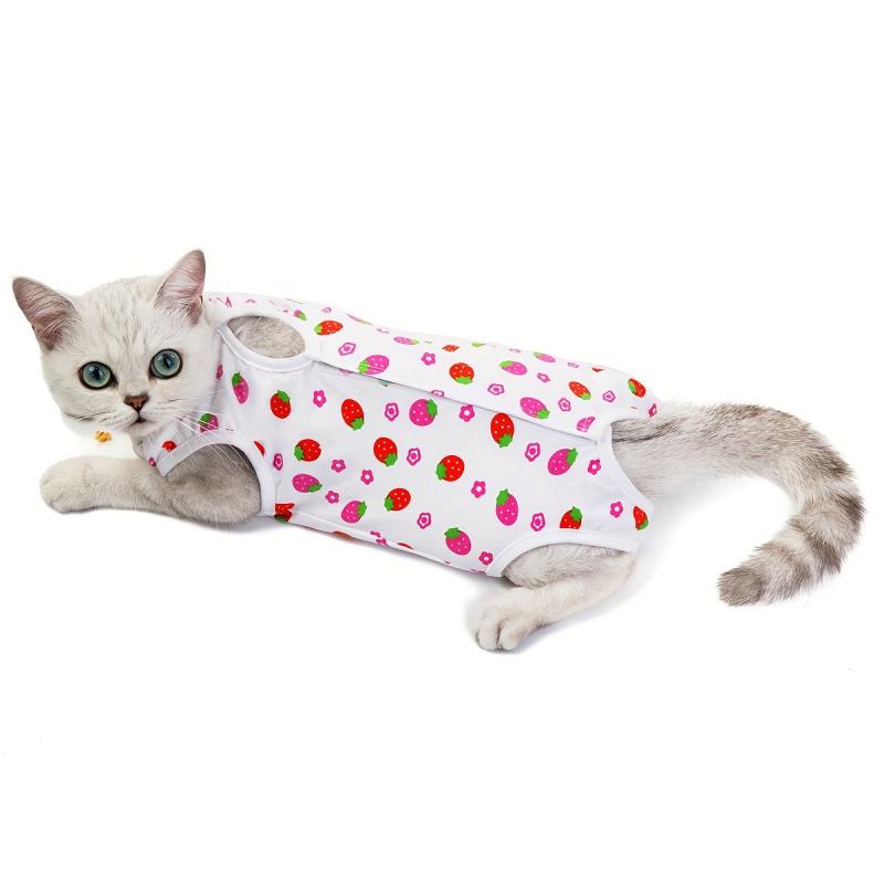 Fruit Graphic Cat Recovery Suit Safe Breathable Jumpsuit