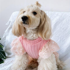Pet Flying Sleeve Dress for Summer Parties