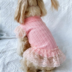 Pet Flying Sleeve Dress for Summer Parties