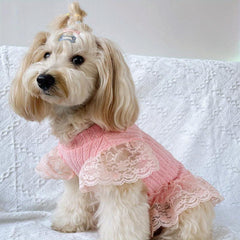 Pet Flying Sleeve Dress for Summer Parties