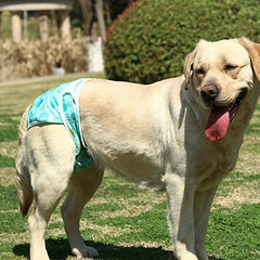 Pet Physiological Pants Dog Diaper w/ Sanitary Mats - Adjustable