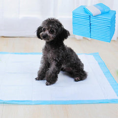 5pcs Dog Diaper Pads, High Absorbent Disposable Nappy Mats for Puppy Training