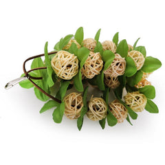 Interactive Wooden Chew Toy for Parrots Promotes Healthy Beak and Mind