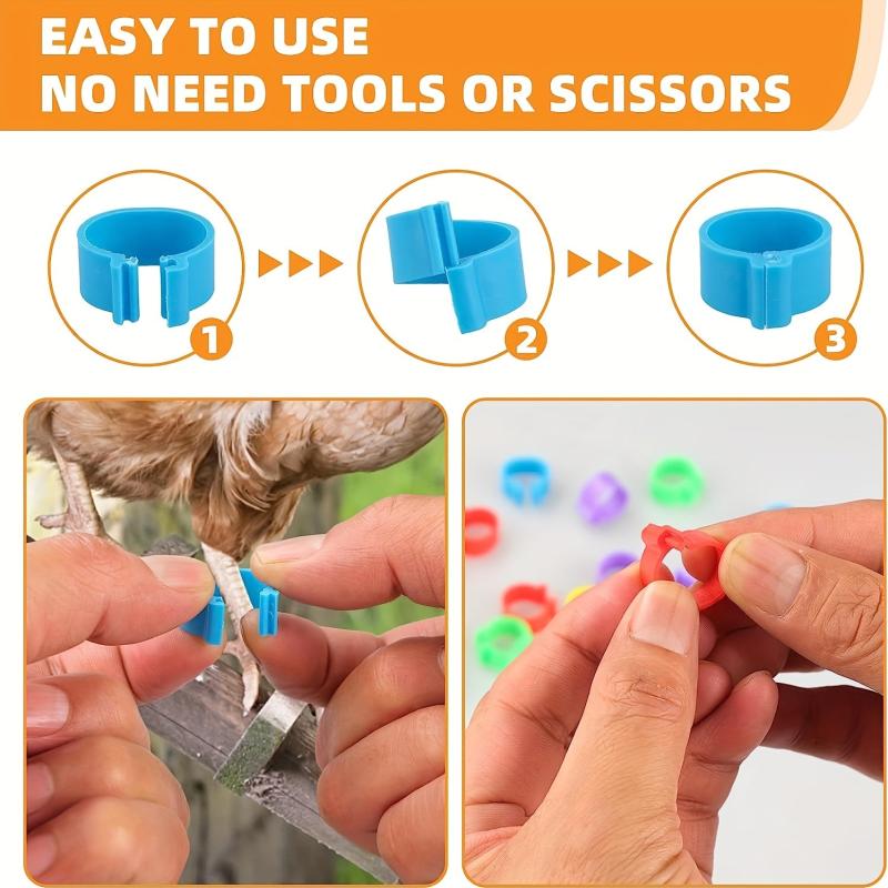 100pcs Numbered Chicken Leg Bands, 5 Colors