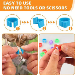 100pcs Numbered Chicken Leg Bands, 5 Colors