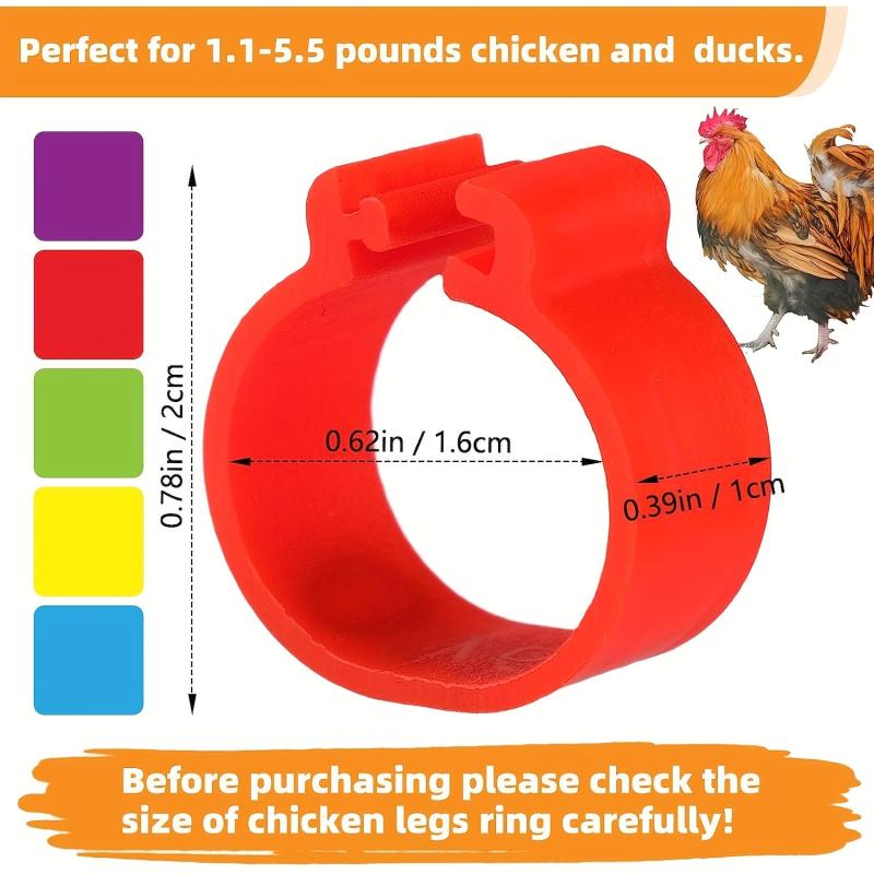 100pcs Numbered Chicken Leg Bands, 5 Colors