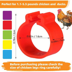 100pcs Numbered Chicken Leg Bands, 5 Colors