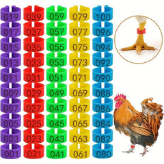100pcs Numbered Chicken Leg Bands, 5 Colors