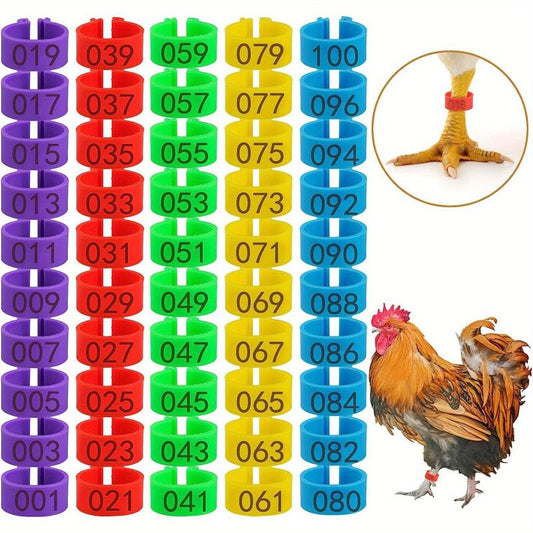 100pcs Numbered Chicken Leg Bands, 5 Colors