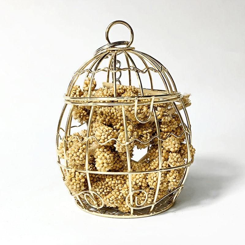 Metal Cage for Parrot Food Storage and Chewing