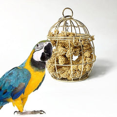 Metal Cage for Parrot Food Storage and Chewing