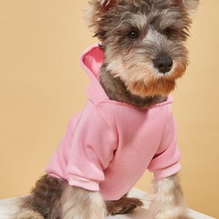 Dog Hooded Sweatshirt for Cold Weather