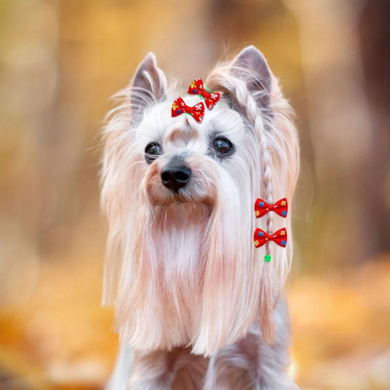 50pcs Mixed Bow Decor Rubber Band Dog Hair Accessories