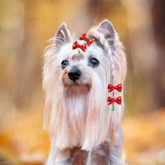 50pcs Mixed Bow Decor Rubber Band Dog Hair Accessories