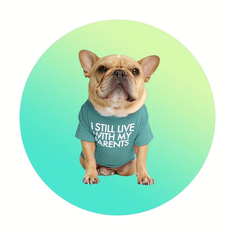 Summer Pet Vest Dog Blank T Shirt Round Neck Pet Clothes