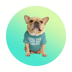 Summer Pet Vest Dog Blank T Shirt Round Neck Pet Clothes