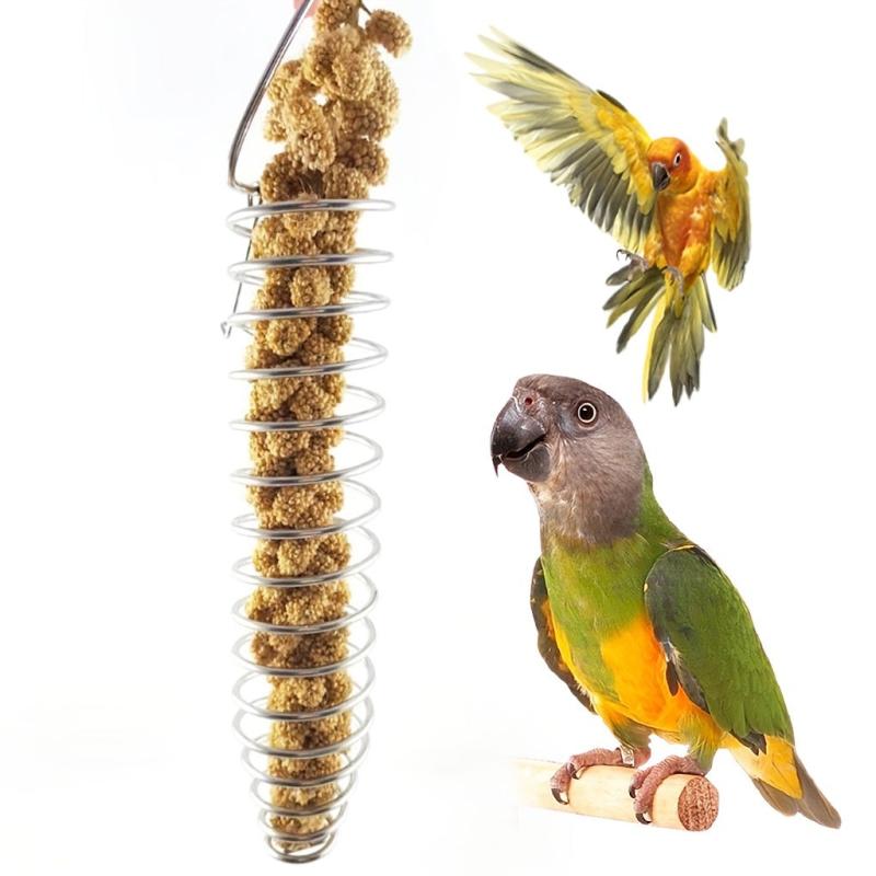 Stainless Steel Fruit & Vegetable Holder for Parrots