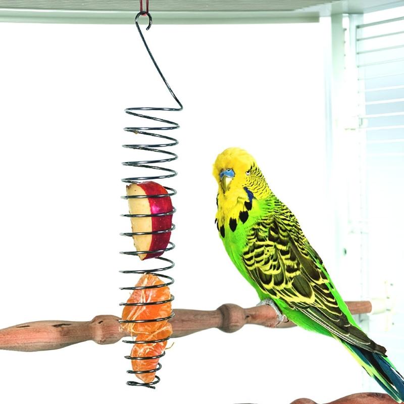 Stainless Steel Fruit & Vegetable Holder for Parrots