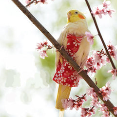 Floral Bird Clothes Diaper Adjustable Flight Suits