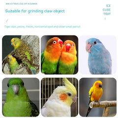 1pc Bird Grinding Claw Stick Parrot Stand Pole Screw Fixed Bird Bar