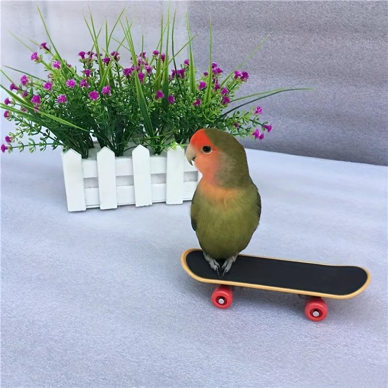 Mini Parrot Skateboard Training Toy for Budgies Parakeet