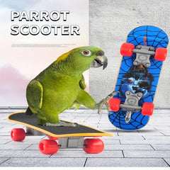 Mini Parrot Skateboard Training Toy for Budgies Parakeet