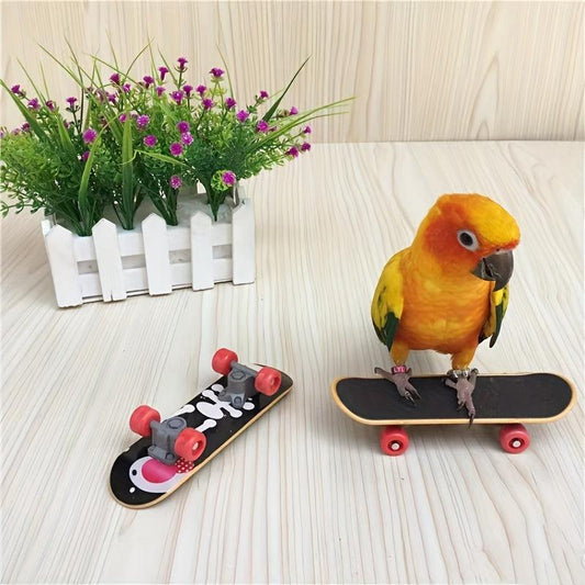 Mini Parrot Skateboard Training Toy for Budgies Parakeet