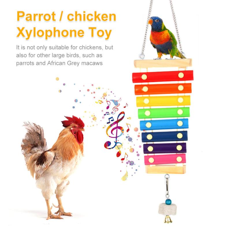 Colorful Wooden Bird Toys for Parrots and Parakeets Fun Training Game