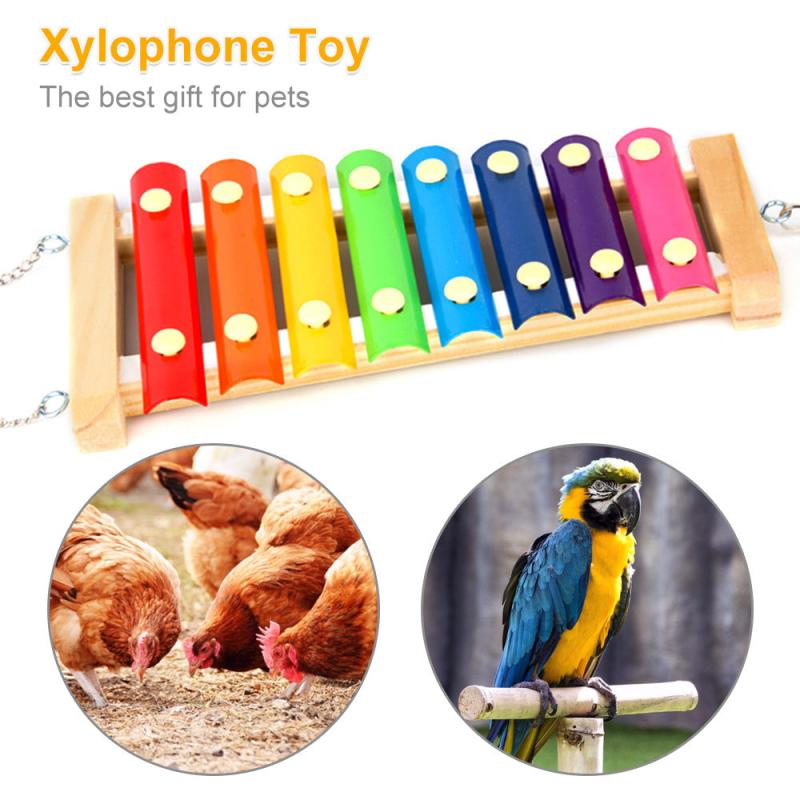 Colorful Wooden Bird Toys for Parrots and Parakeets Fun Training Game